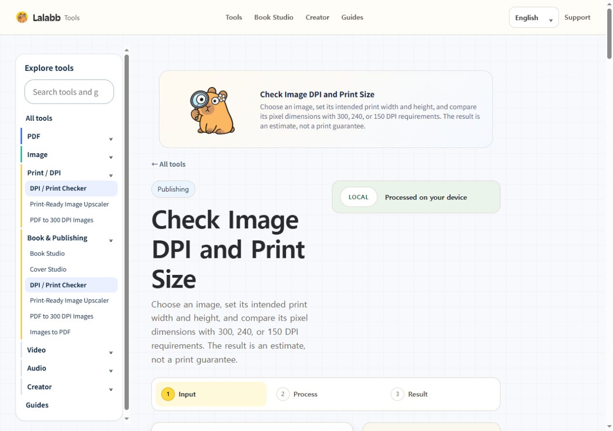 DPI / Print Checker · Actual Lalabb interface
